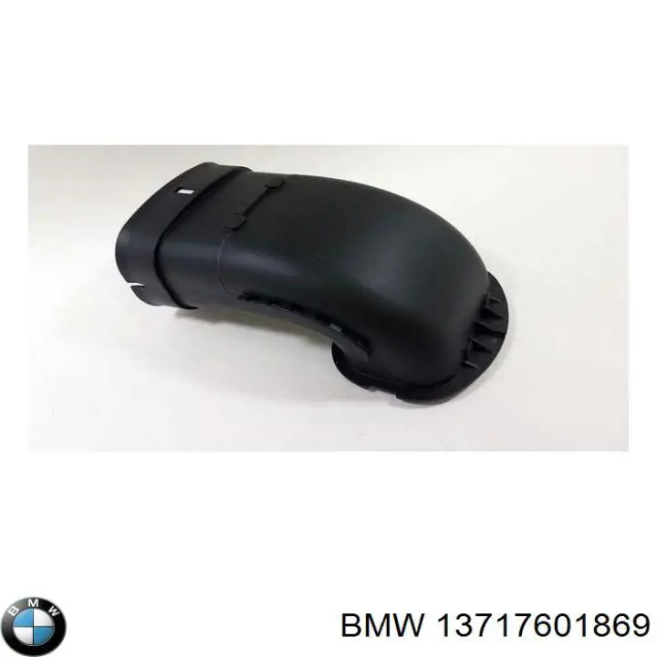Tubo de admisión de aire, entrada del filtro de aire BMW 13717601869 precio, desde 50,21 EUR