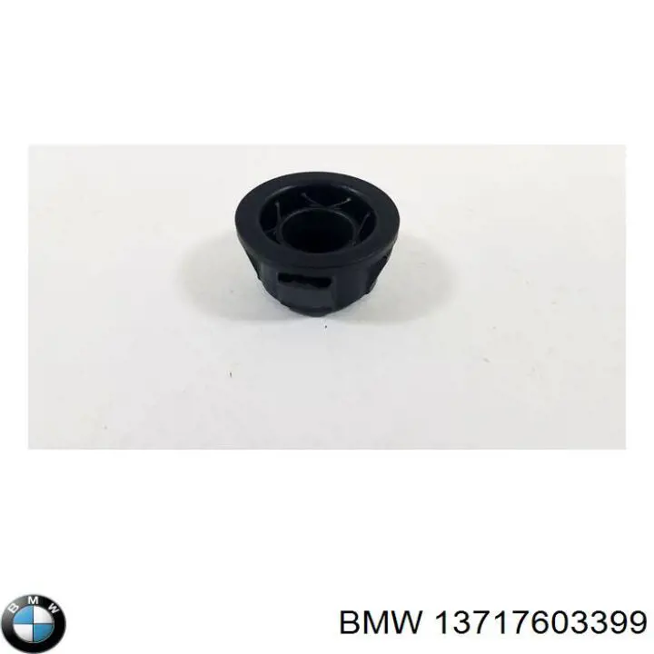 Comprar 13717603399 BMW 