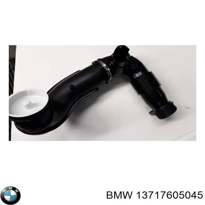 13717605045 BMW tubo flexible de aspiración, entrada del filtro de aire