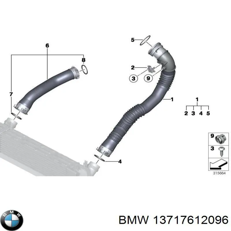 13717612096 BMW tubo flexible de aire de sobrealimentación izquierdo