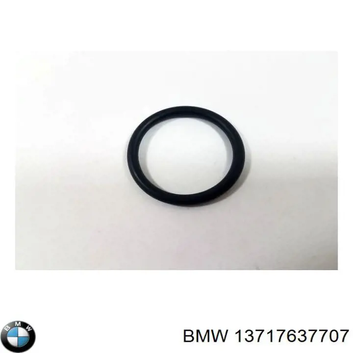 13717637707 BMW junta tórica para tubo intercooler