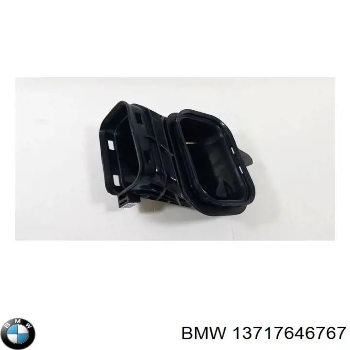 Tubo de admisión de aire, entrada del filtro de aire BMW 13717646767 precio, desde 100,55 EUR