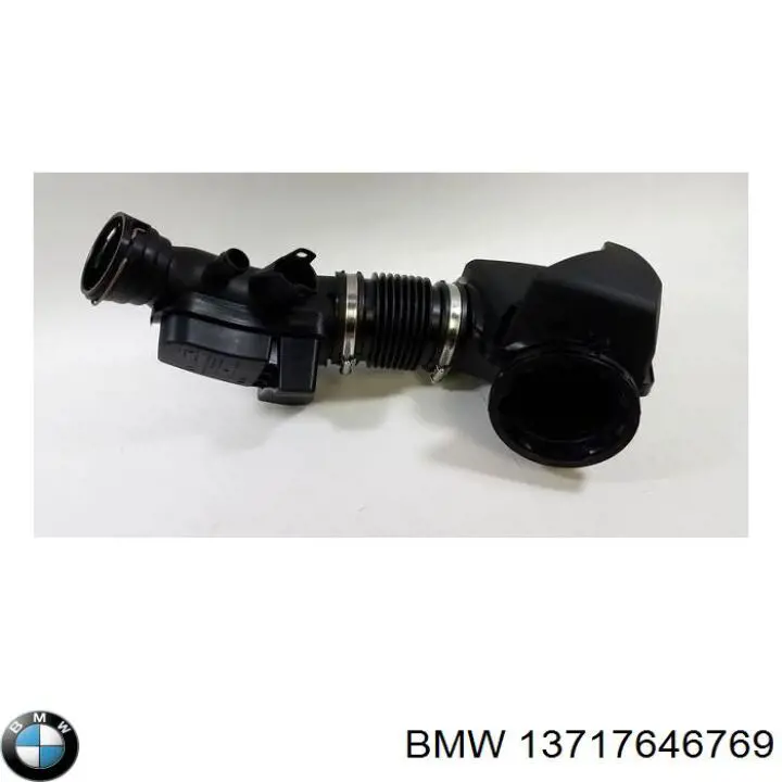 Tubo de admisión de aire, entrada del filtro de aire BMW 13717646769 precio, desde 101,31 EUR