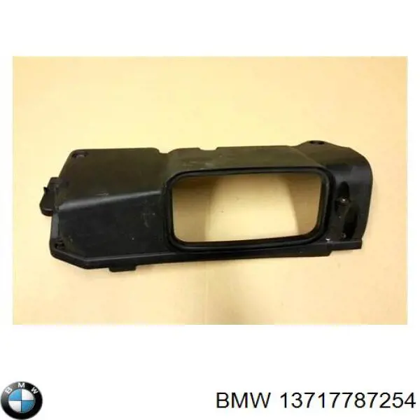 Cubierta decorativa del motor BMW 13717787254 precio, desde 71,15 EUR