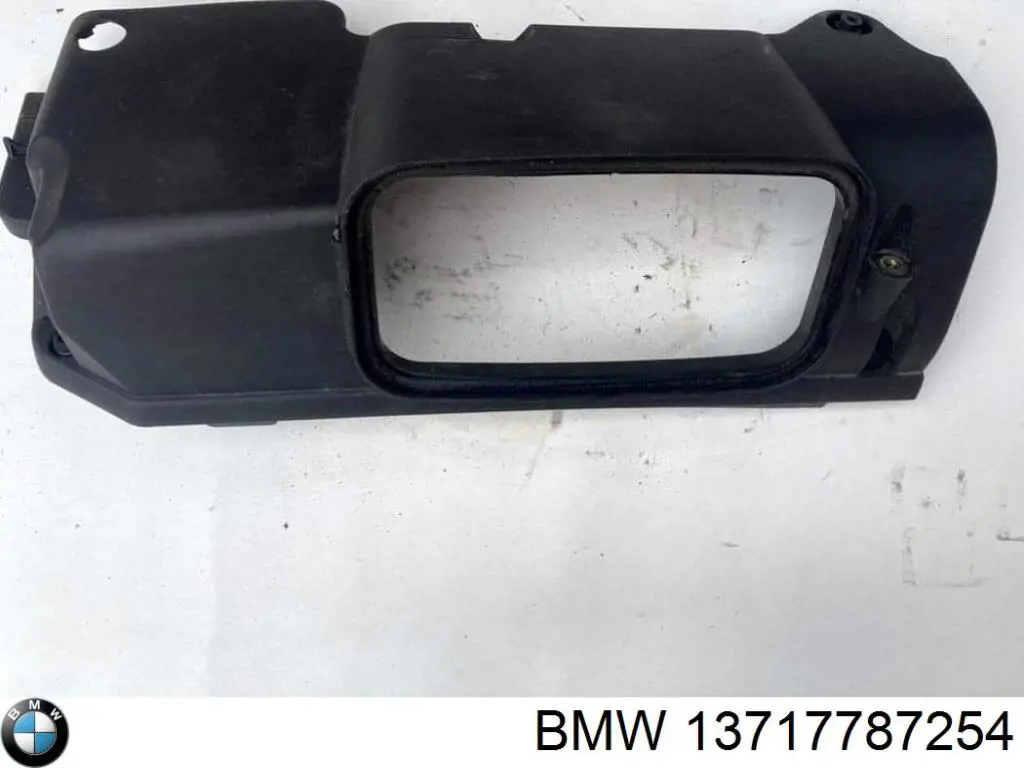 Comprar 13717787254 BMW Tapa motor