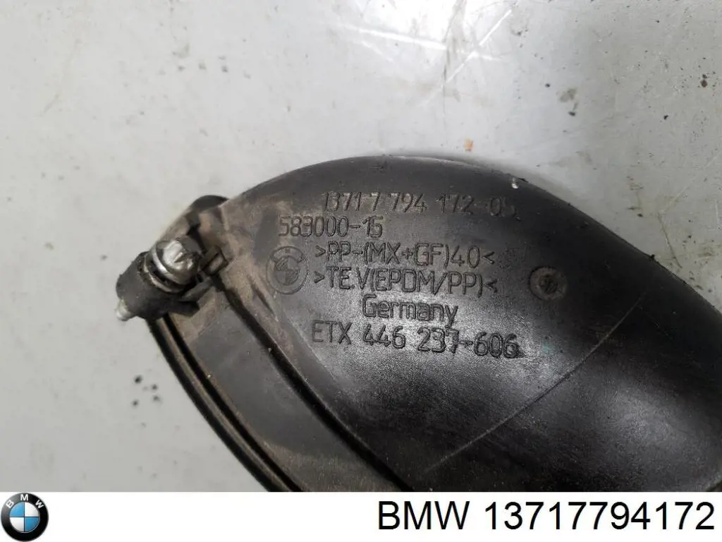 Manguito de aire del medidor de masa de aire BMW 13717794172 precio, desde 103,09 EUR