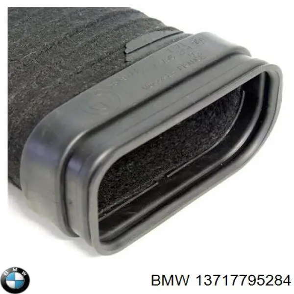 13717795284 BMW tubo flexible de aspiración, entrada del filtro de aire