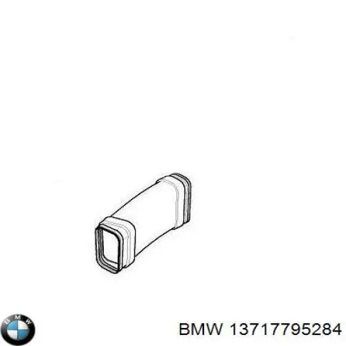 Tubo de admisión de aire, entrada del filtro de aire BMW 13717795284 precio, desde 37,03 EUR