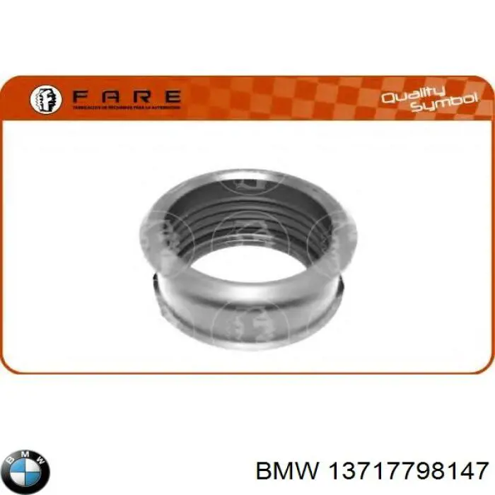 13717798147 BMW tubo flexible de aspiración, salida del filtro de aire