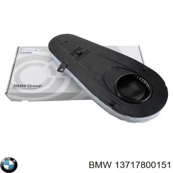 13717800151 BMW filtro de aire