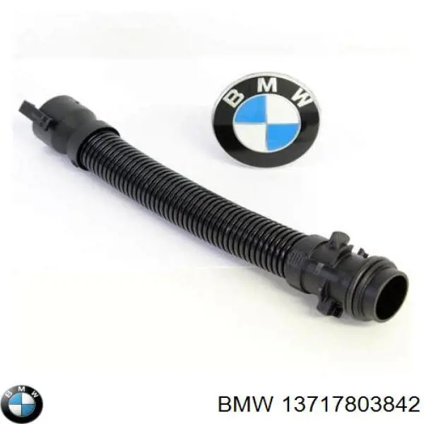 13717803842 BMW tubo de aire