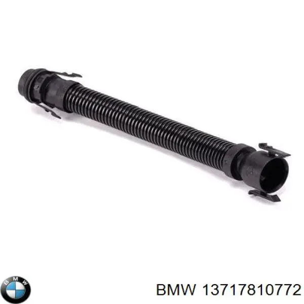 Válvula PCV BMW 13717810772 precio, desde 15,35 EUR