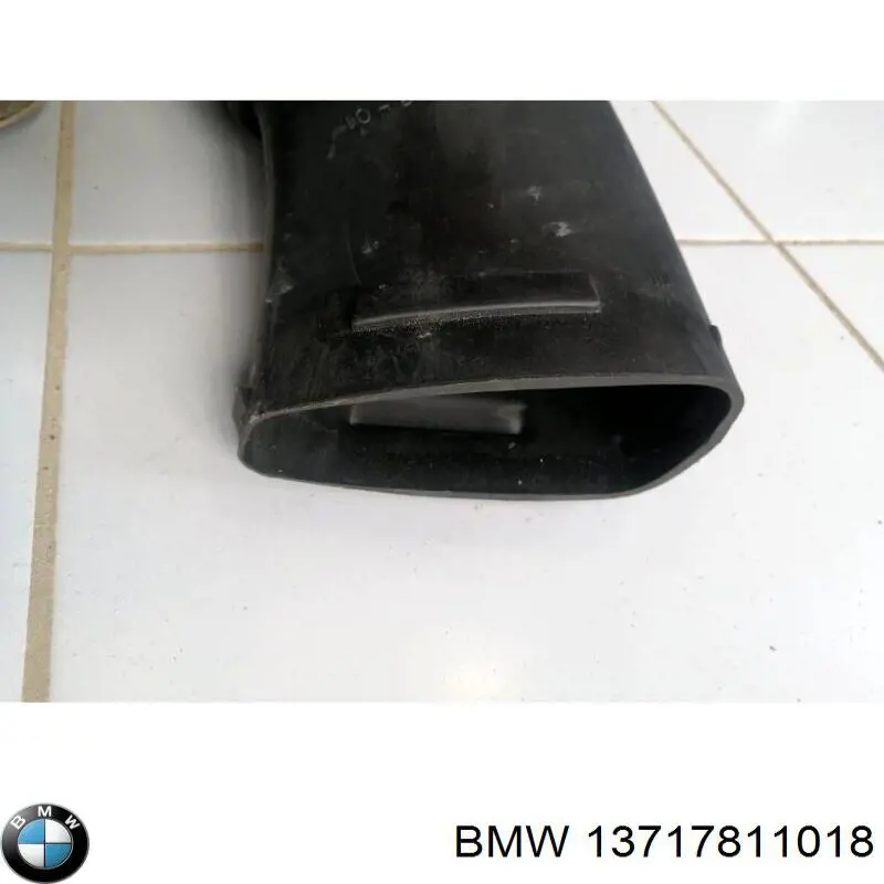 13717811018 BMW manguito, alimentación de aire