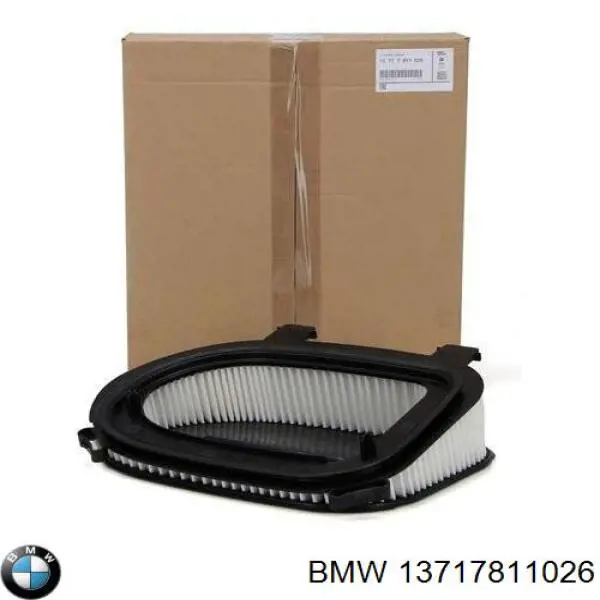 13717811026 BMW filtro de aire