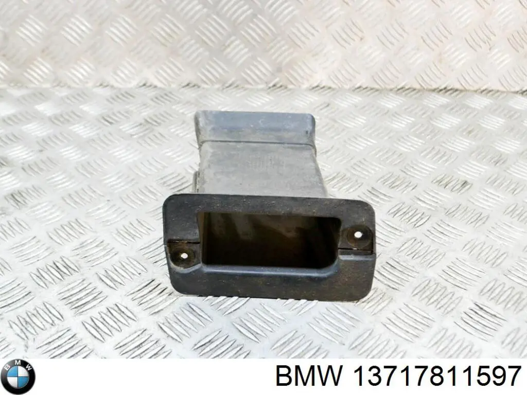 Comprar 13717811597 BMW Tubo flexible de aspiración