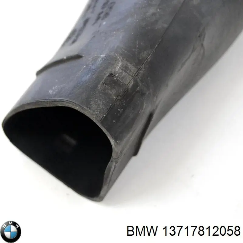 Entrada del filtro de aire 13717812058 BMW