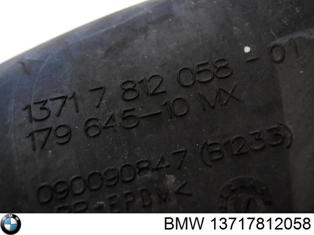 Entrada del filtro de aire BMW 13717812058