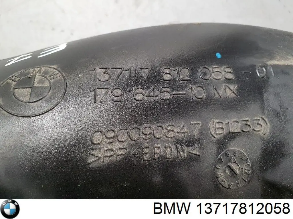 13717812058 BMW Entrada del filtro de aire