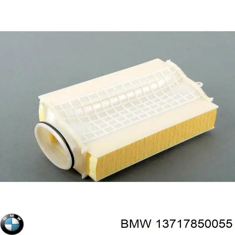 13717850055 BMW Filtro de aire de motor