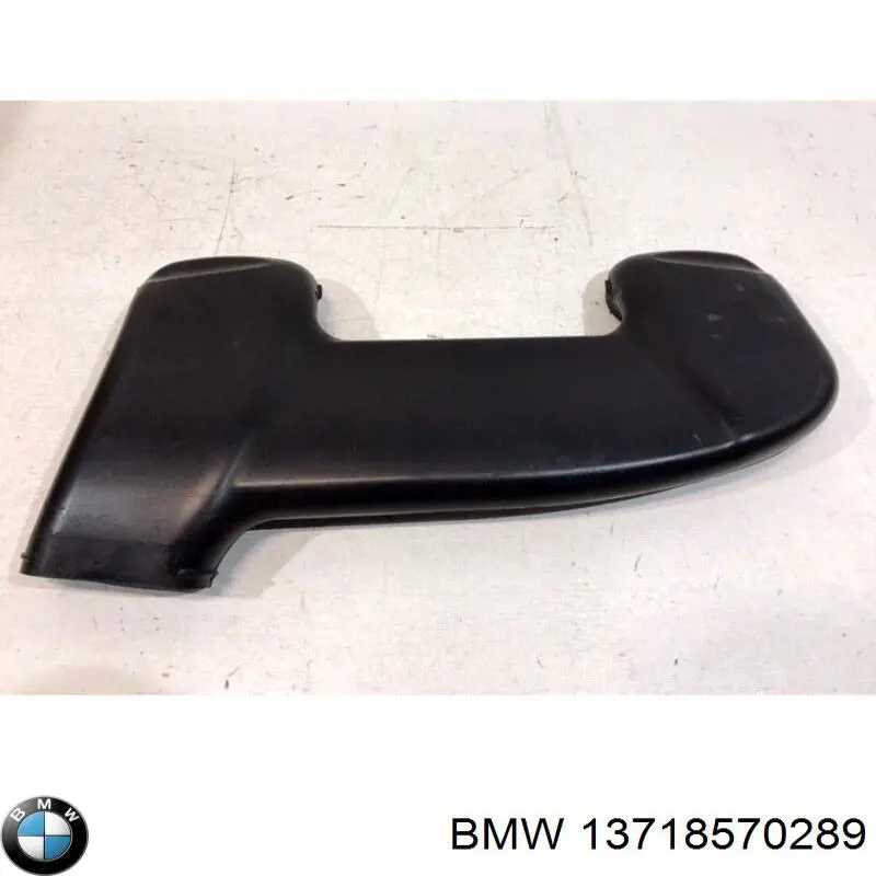 13718570289 BMW