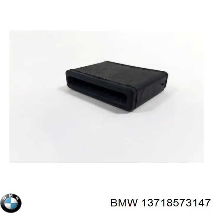 13718573147 BMW abrazadera de silenciador trasera