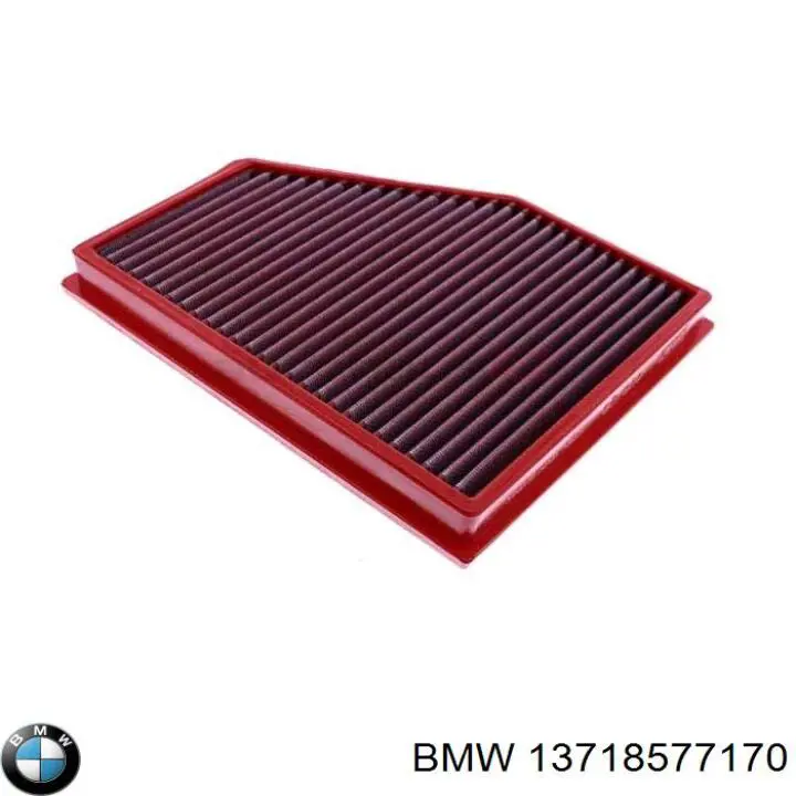 13718577170 BMW Filtro de aire de motor