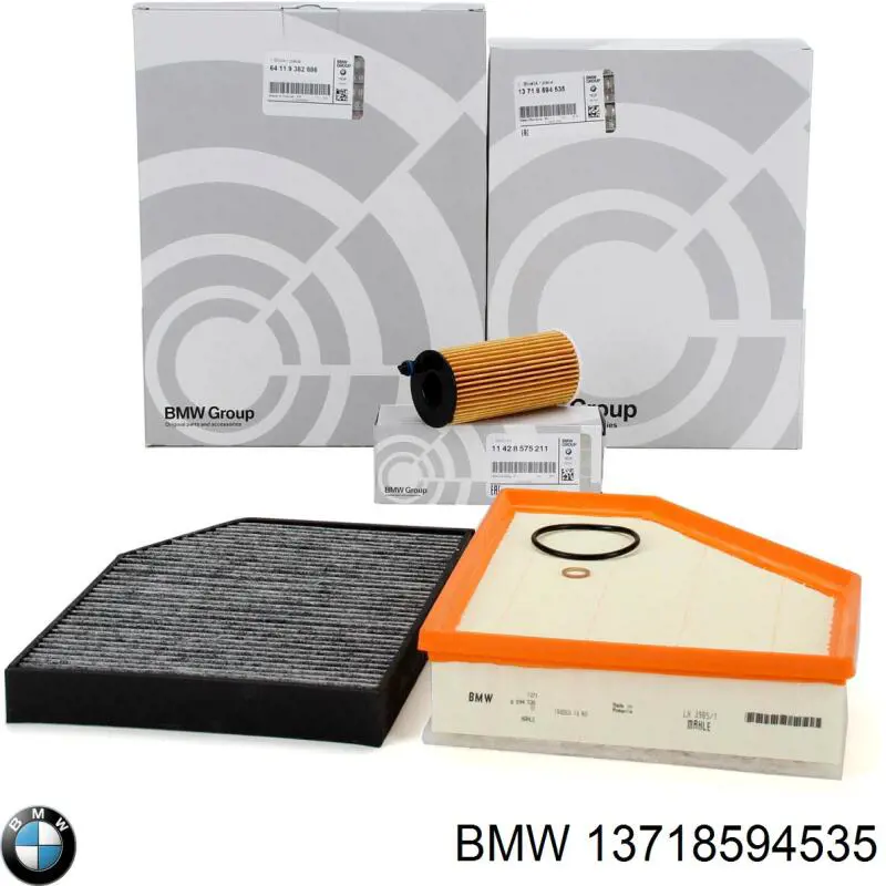 13718594535 BMW Filtro de aire de motor