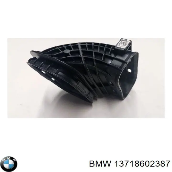 Comprar 13718602387 BMW Caja del filtro de aire
