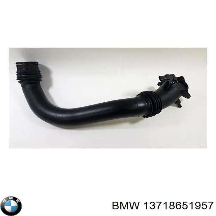 Comprar 13718651957 BMW 