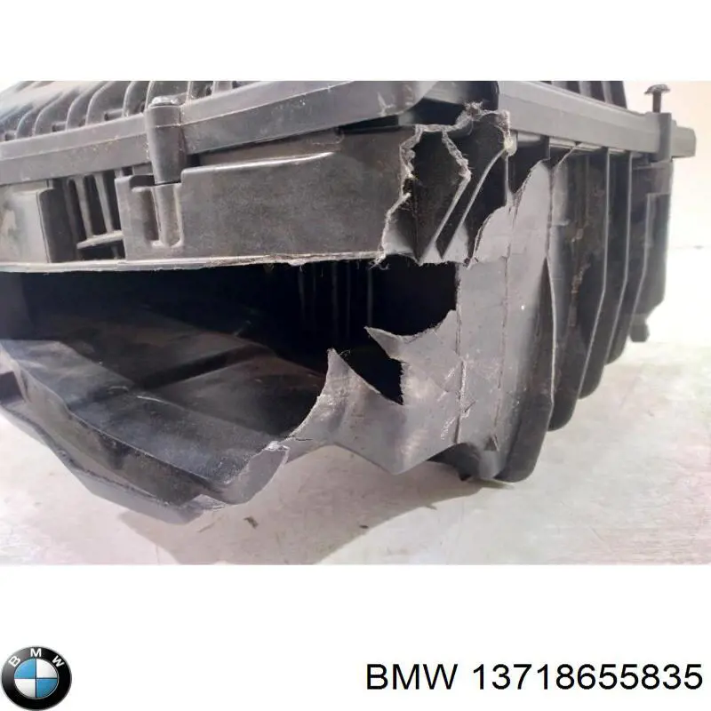 13718655835 BMW casco de filtro de aire