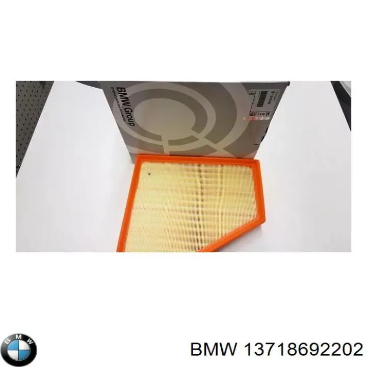 13718692202 BMW filtro de aire