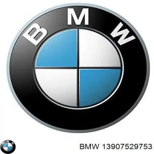 13907529753 BMW