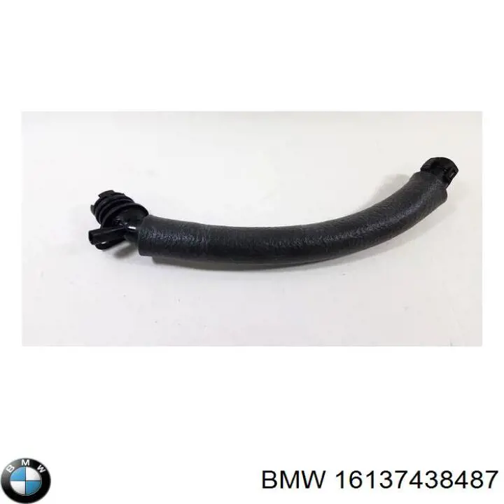  BMW 16137438487 precio, desde 105,57 EUR