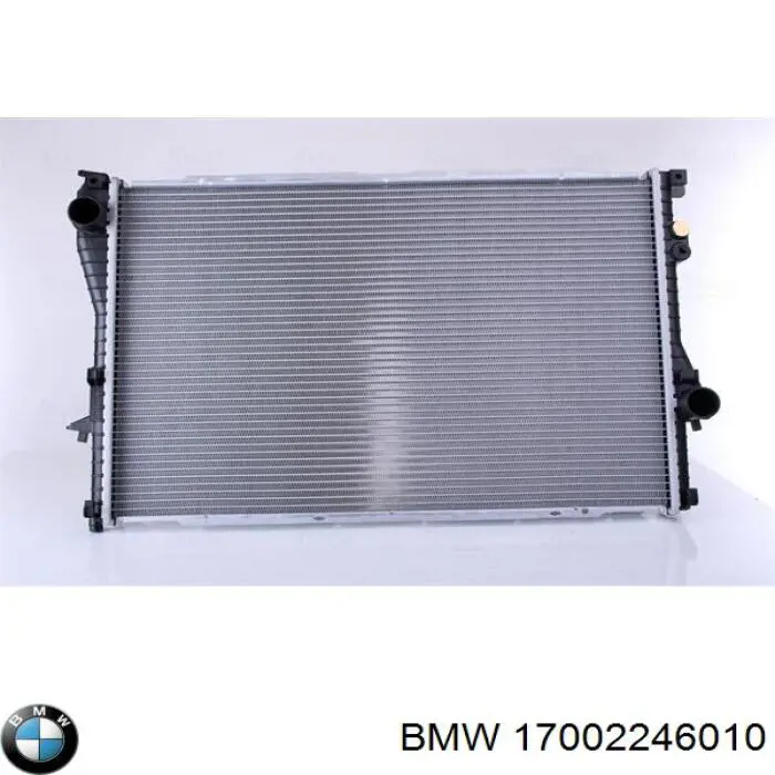 17002246010 BMW radiador