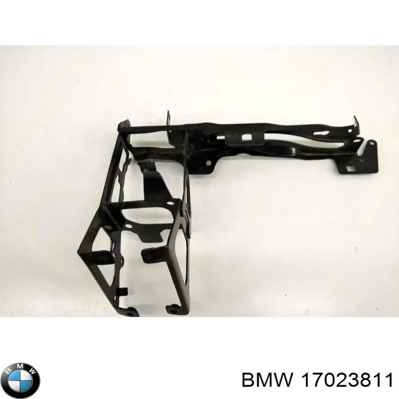  17023811 BMW
