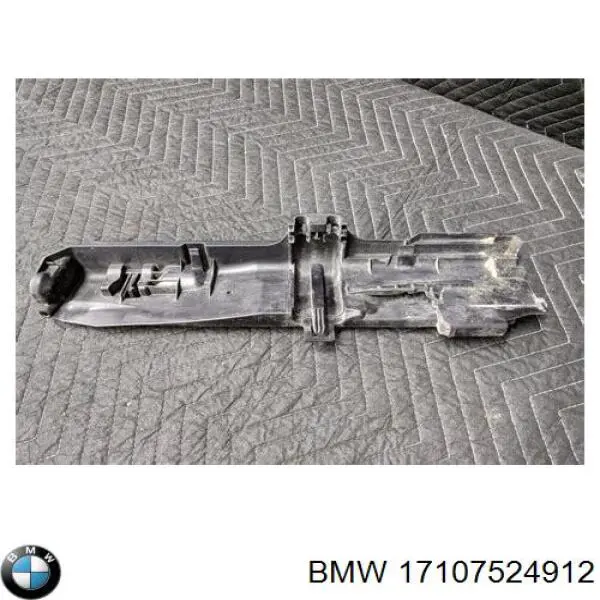 Soporte izquierdo del radiador BMW 17107524912 precio, desde 39,20 EUR