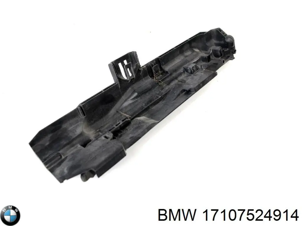 Comprar 17107524914 BMW Soporte derecho del radiador