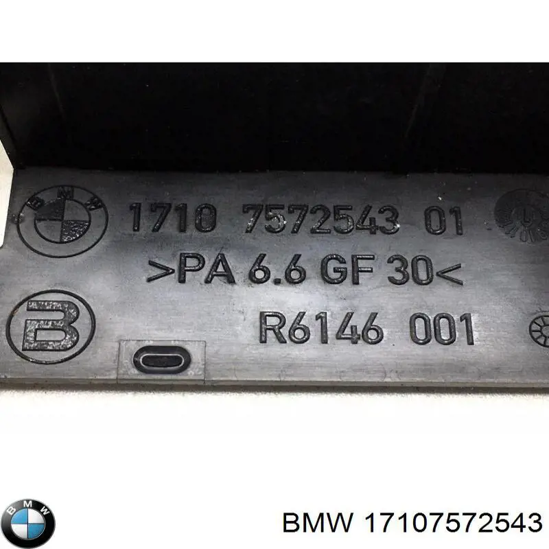 17107572543 BMW