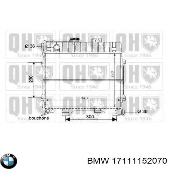 17111152070 BMW Refrigeración del motor