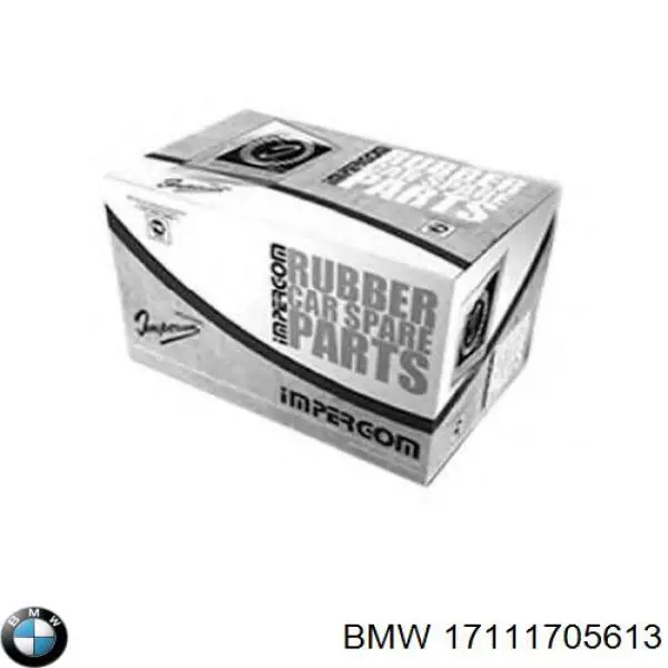 17111705613 BMW vaso de expansión, refrigerante