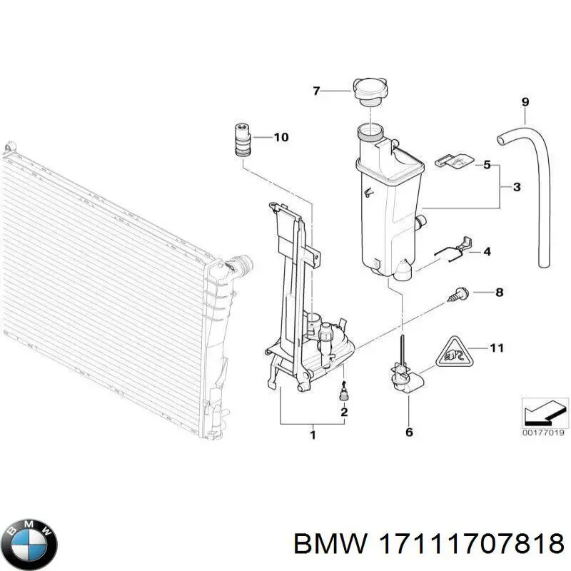 17111707818 BMW