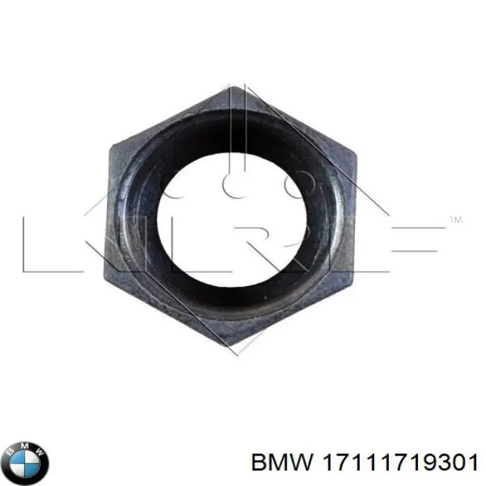 17111719301 BMW radiador refrigeración del motor