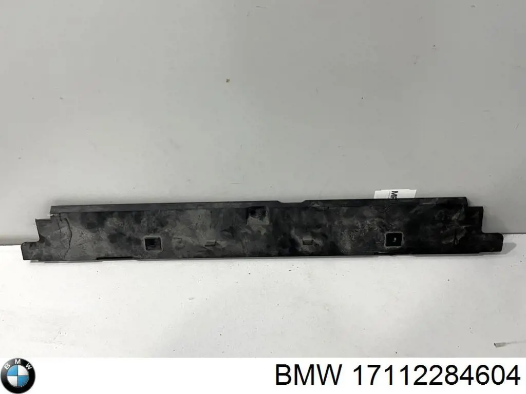 17112284604 BMW