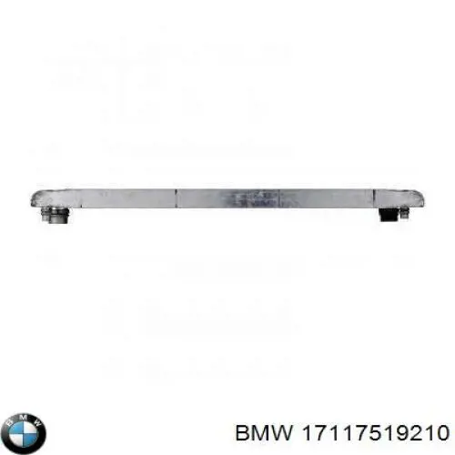 17117519210 BMW Refrigeración del motor
