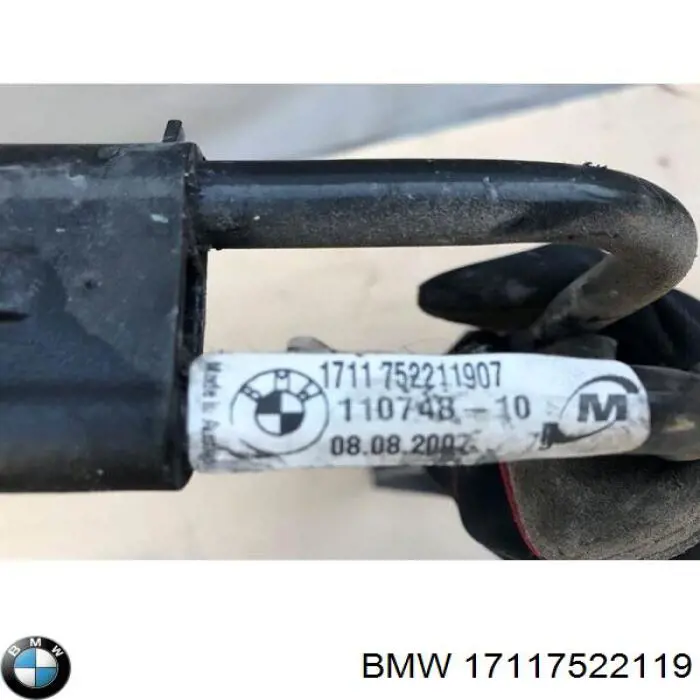 17117522119 BMW