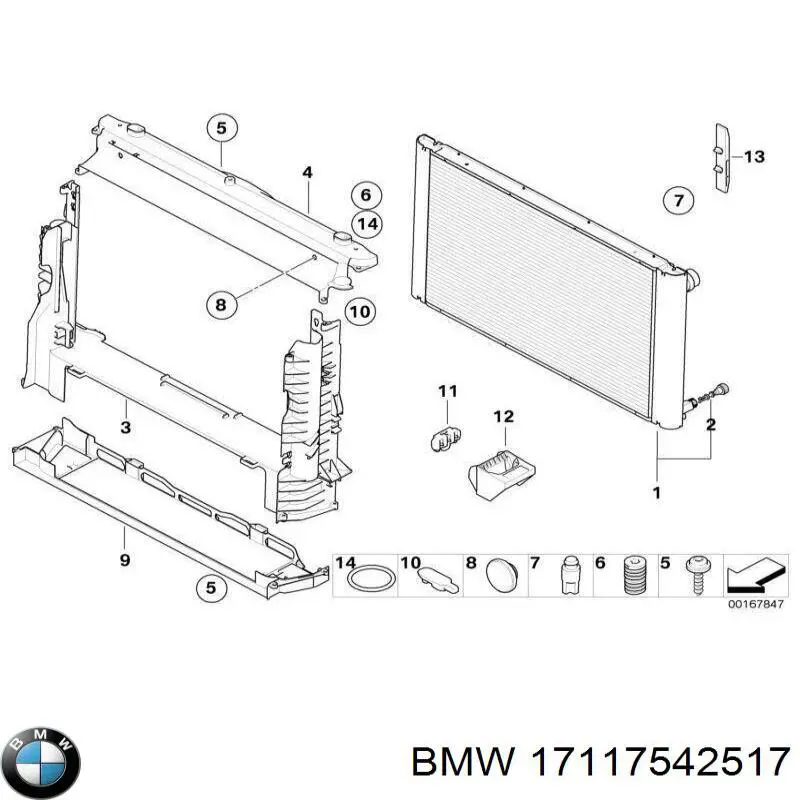 17117542517 BMW