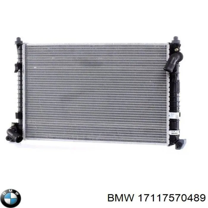 17117570489 BMW Refrigeración del motor