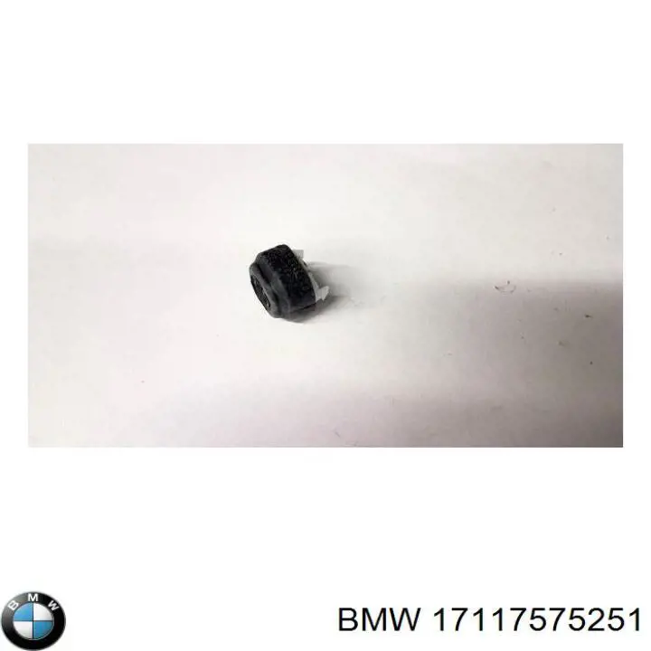 17117575251 BMW soporte del radiador inferior