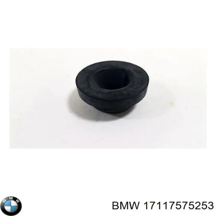 17117575253 BMW