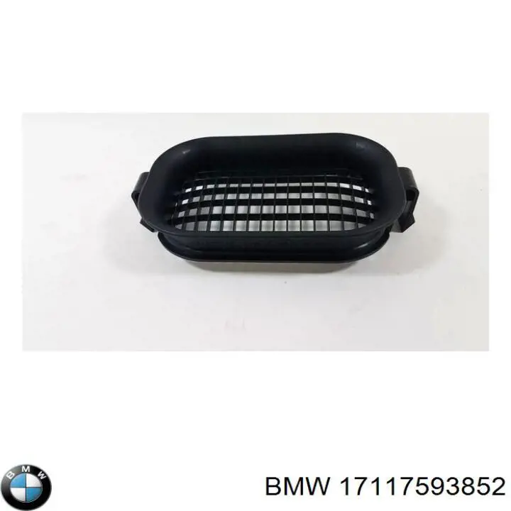 17117593852 BMW